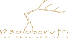 shop.paoloberutti.it